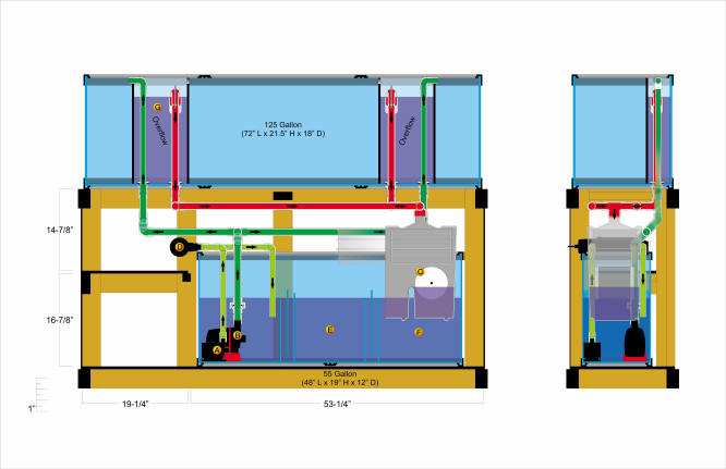 Sump fashion for freshwater tank